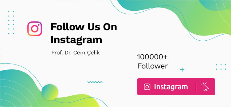 Prof. Dr. Cem Çelik